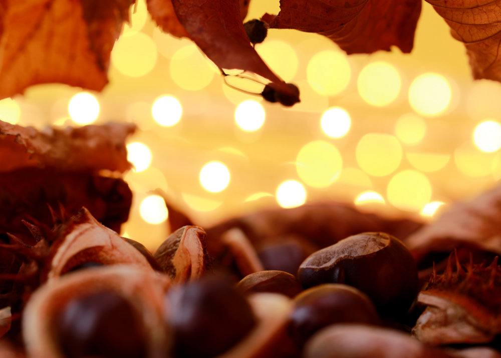 vhs, Hamburg, Fotoclub, wohlfühlen, Ausstellung, Foto