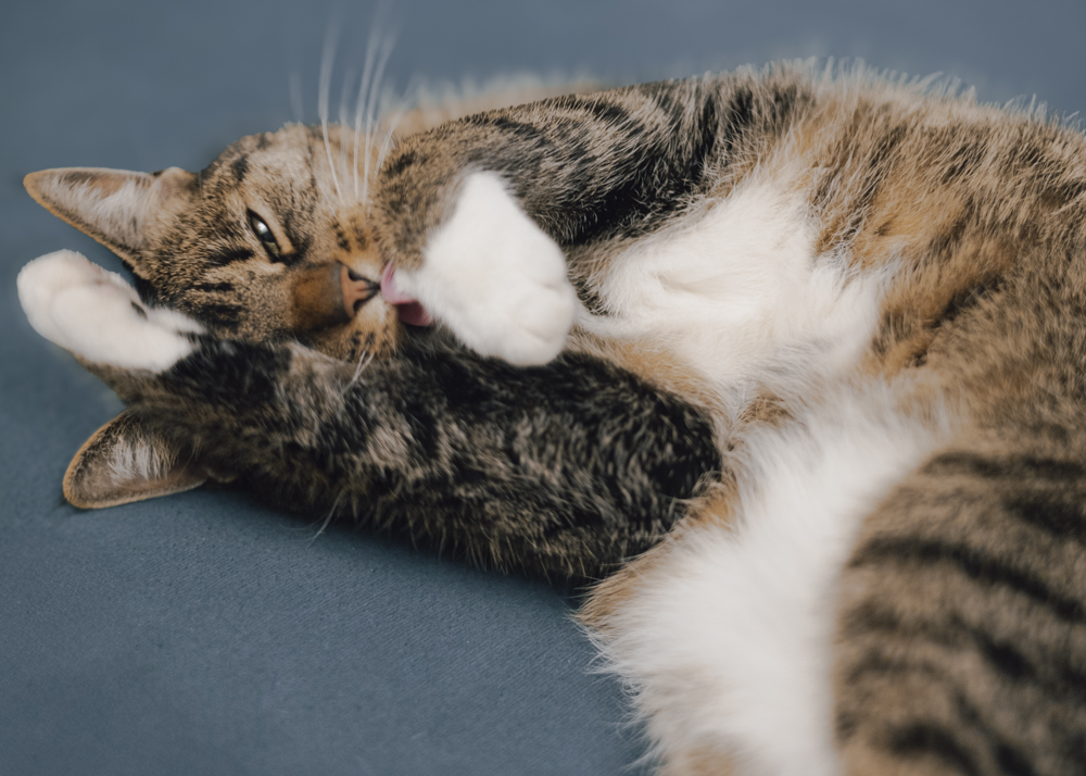 vhs, Hamburg, Fotoclub, wohlfühlen, Ausstellung, Foto