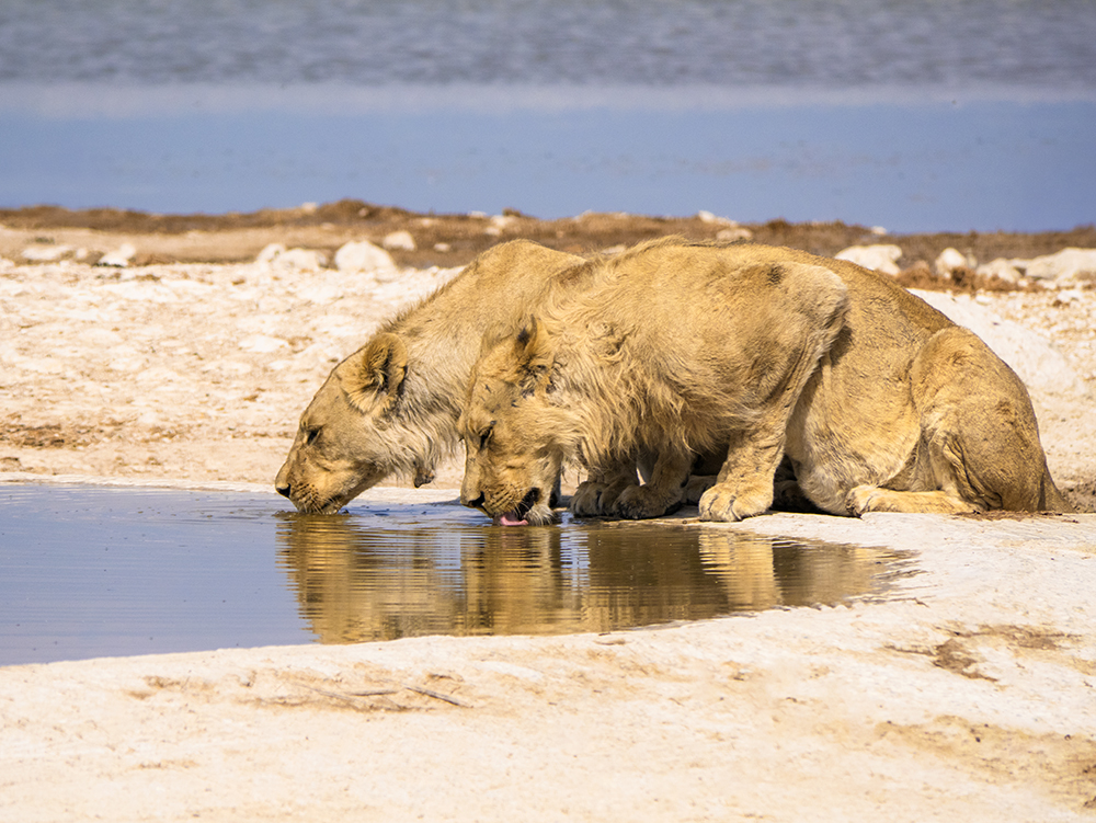 vhs, Hamburg, Fotoclub, wohlfühlen, Ausstellung, Foto