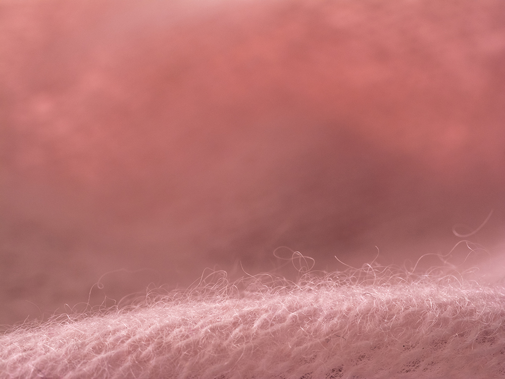 vhs, Hamburg, Fotoclub, wohlfühlen, Ausstellung, Foto