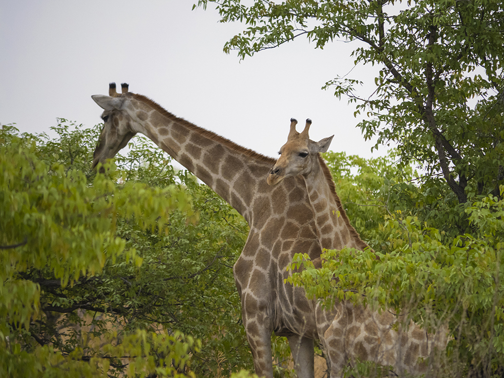 vhs, Hamburg, Fotoclub, wohlfühlen, Ausstellung, Foto