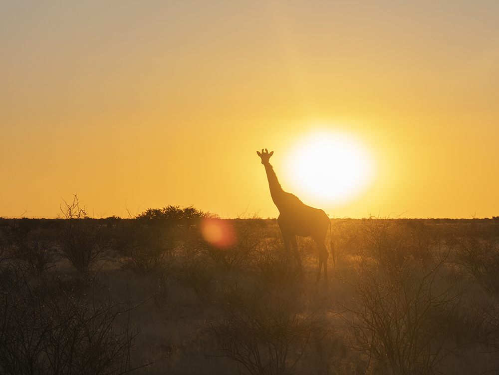 vhs, Hamburg, Fotoclub, wohlfühlen, Ausstellung, Foto