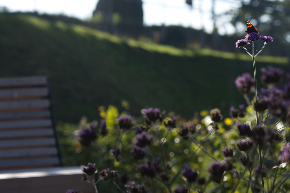 vhs, Hamburg, Fotoclub, wohlfühlen, Ausstellung, Foto