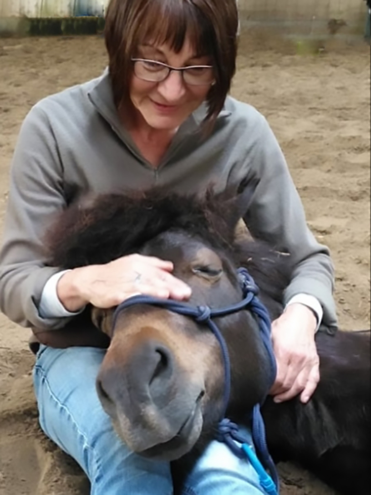 vhs, Hamburg, Fotoclub, wohlfühlen, Ausstellung, Foto