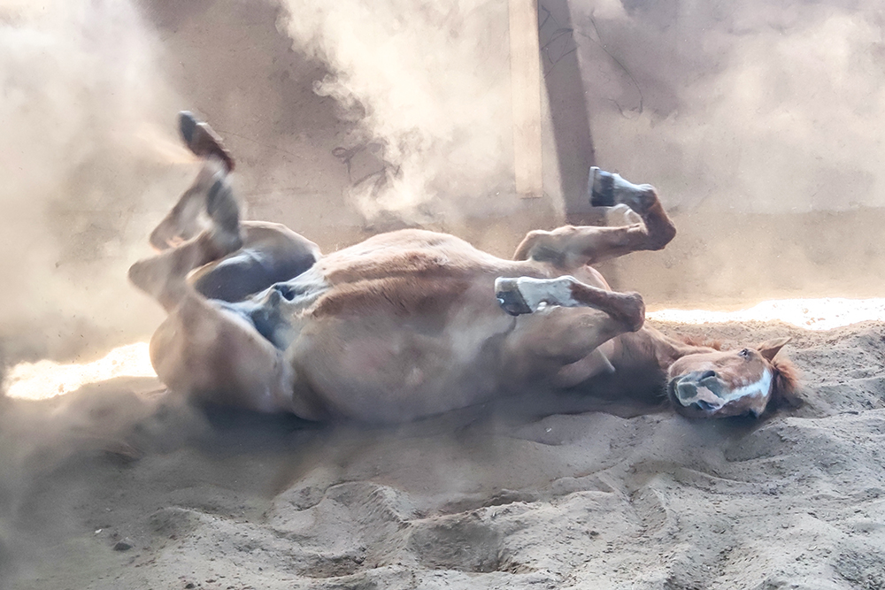 vhs, Hamburg, Fotoclub, wohlfühlen, Ausstellung, Foto