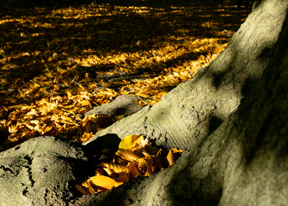 vhs, Hamburg, Fotoclub, wohlfühlen, Ausstellung, Foto