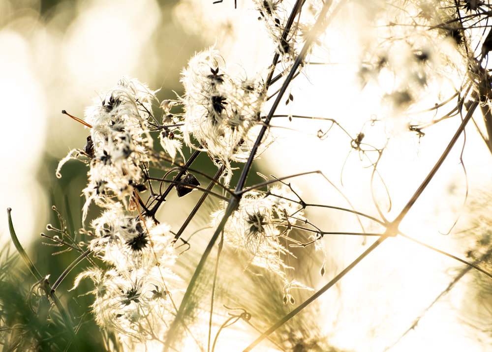 vhs, Hamburg, Fotoclub, wohlfühlen, Ausstellung, Foto