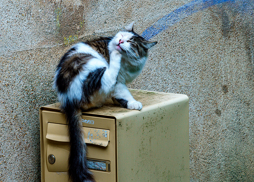 vhs, Hamburg, Fotoclub, wohlfühlen, Ausstellung, Foto