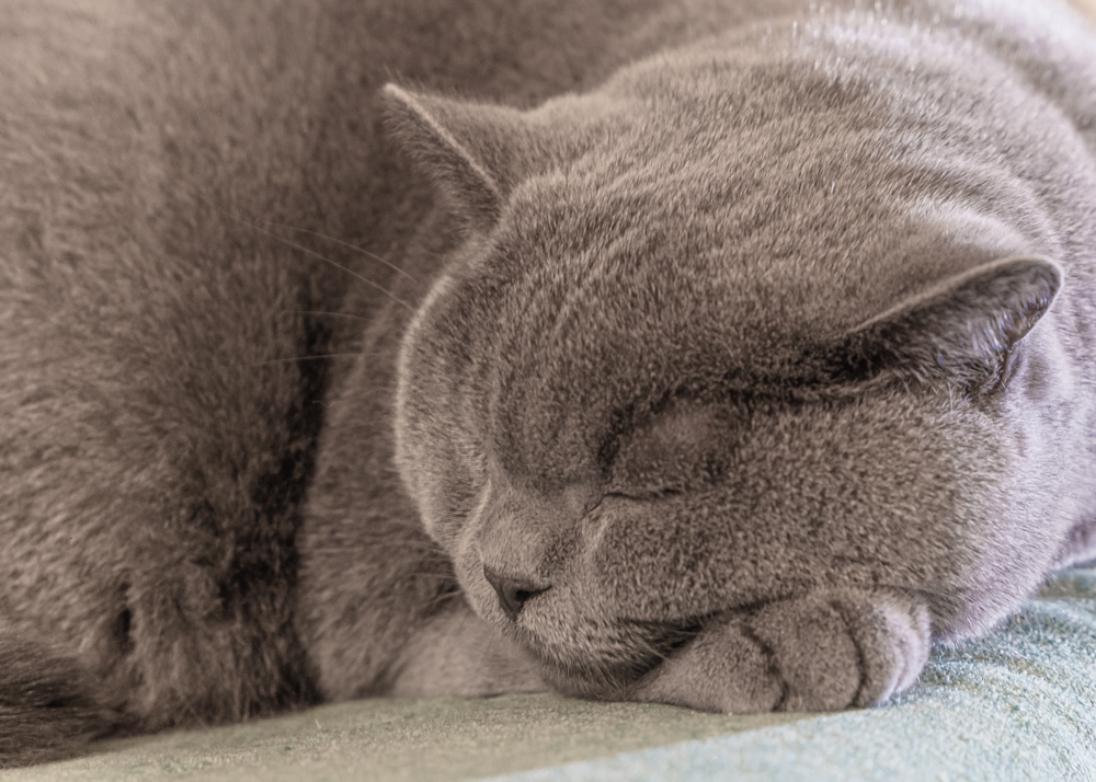 vhs, Hamburg, Fotoclub, wohlfühlen, Ausstellung, Foto