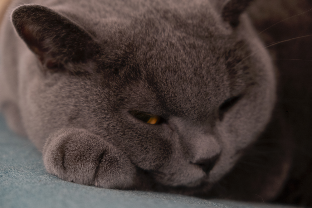 vhs, Hamburg, Fotoclub, wohlfühlen, Ausstellung, Foto