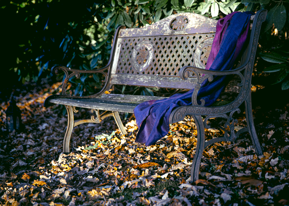 vhs, Hamburg, Fotoclub, wohlfühlen, Ausstellung, Foto